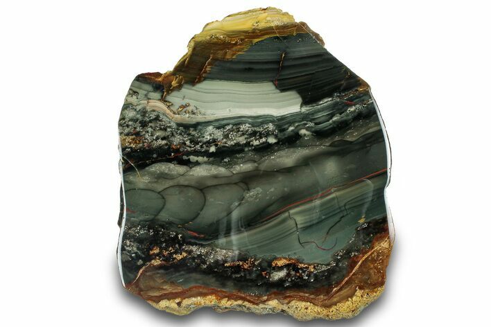Polished Section of Blue Mountain Jasper - Oregon #316130